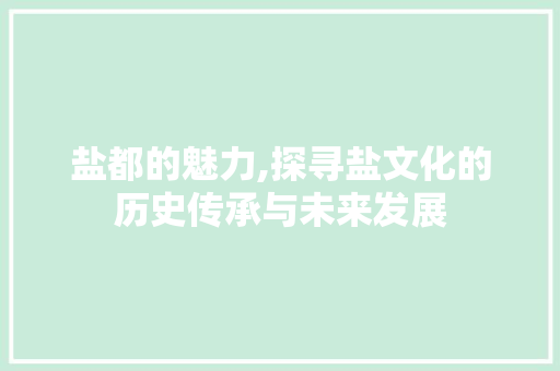 盐都的魅力,探寻盐文化的历史传承与未来发展
