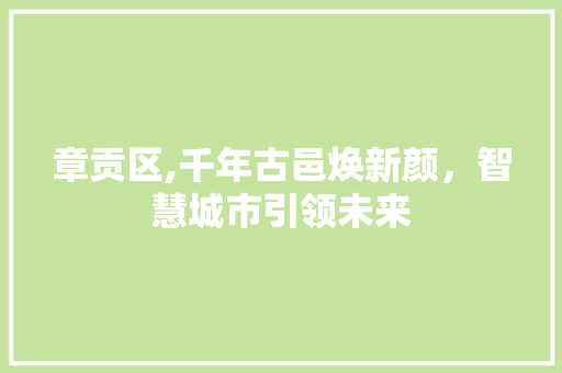 章贡区,千年古邑焕新颜，智慧城市引领未来