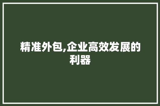精准外包,企业高效发展的利器