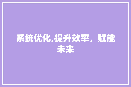 系统优化,提升效率，赋能未来 英文谷歌算法