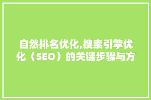 自然排名优化,搜索引擎优化（SEO）的关键步骤与方法