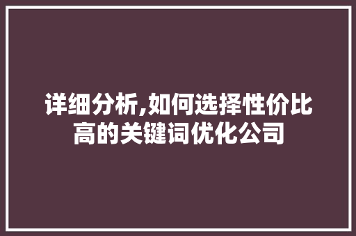 详细分析,如何选择性价比高的关键词优化公司