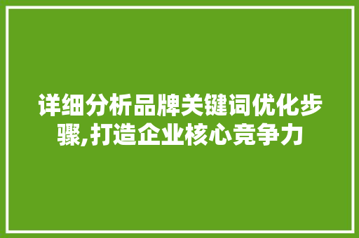 详细分析品牌关键词优化步骤,打造企业核心竞争力 seo技术