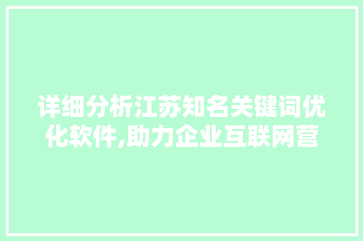 详细分析江苏知名关键词优化软件,助力企业互联网营销新篇章 小程序开发