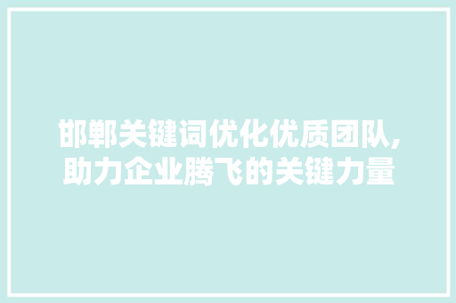 邯郸关键词优化优质团队,助力企业腾飞的关键力量