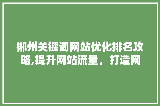 郴州关键词网站优化排名攻略,提升网站流量，打造网络品牌