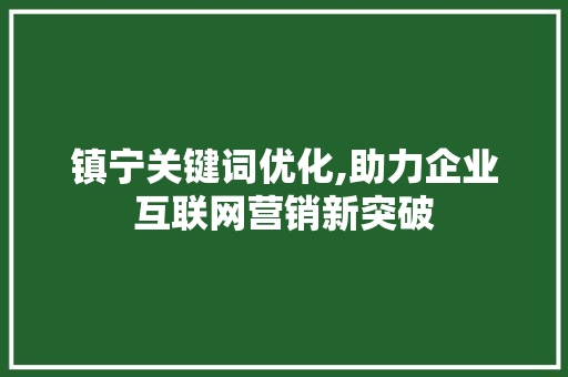 镇宁关键词优化,助力企业互联网营销新突破 网站开发