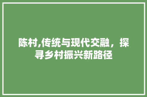 陈村,传统与现代交融，探寻乡村振兴新路径