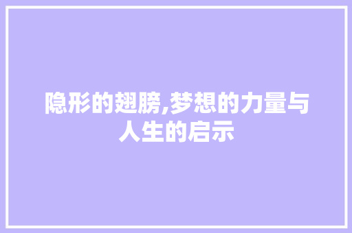 隐形的翅膀,梦想的力量与人生的启示