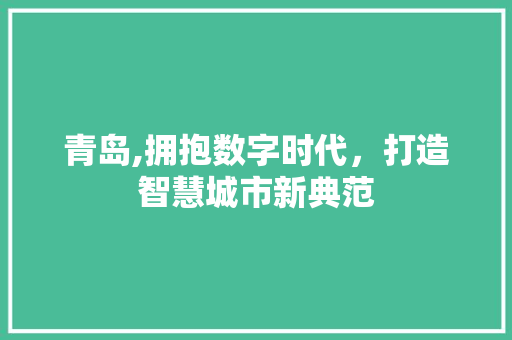 青岛,拥抱数字时代，打造智慧城市新典范