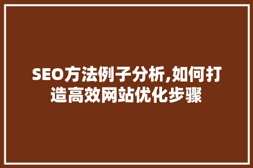 SEO方法例子分析,如何打造高效网站优化步骤 网站优化