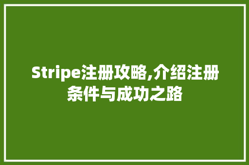 Stripe注册攻略,介绍注册条件与成功之路