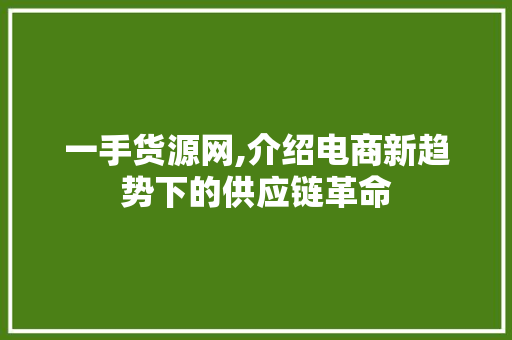 一手货源网,介绍电商新趋势下的供应链革命
