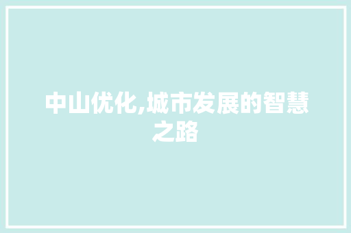 中山优化,城市发展的智慧之路