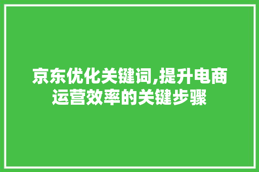 京东优化关键词,提升电商运营效率的关键步骤 seo技术