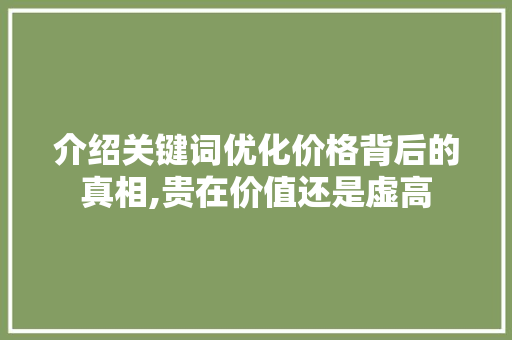 介绍关键词优化价格背后的真相,贵在价值还是虚高 英文谷歌算法