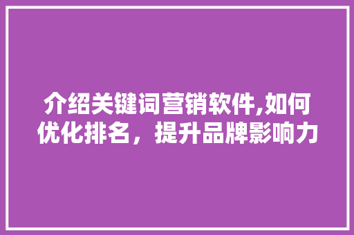 介绍关键词营销软件,如何优化排名，提升品牌影响力 头条优化