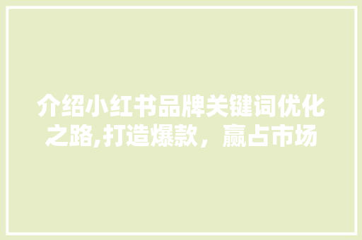介绍小红书品牌关键词优化之路,打造爆款，赢占市场先机 小程序开发