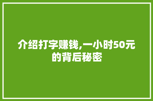 介绍打字赚钱,一小时50元的背后秘密