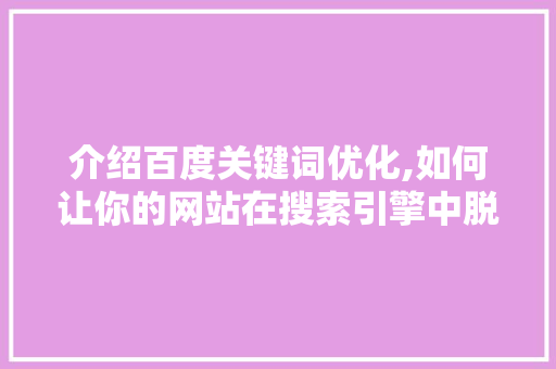 介绍百度关键词优化,如何让你的网站在搜索引擎中脱颖而出 网站优化