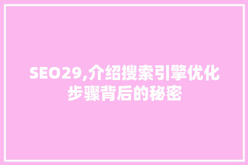 SEO29,介绍搜索引擎优化步骤背后的秘密