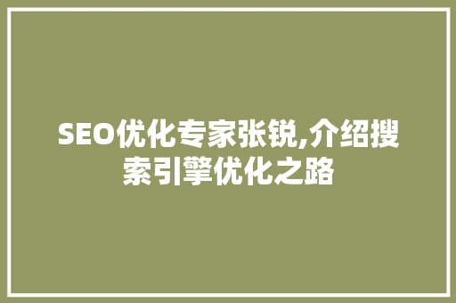 SEO优化专家张锐,介绍搜索引擎优化之路