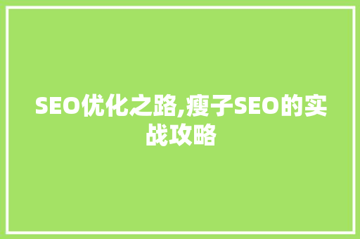 SEO优化之路,瘦子SEO的实战攻略 网站优化