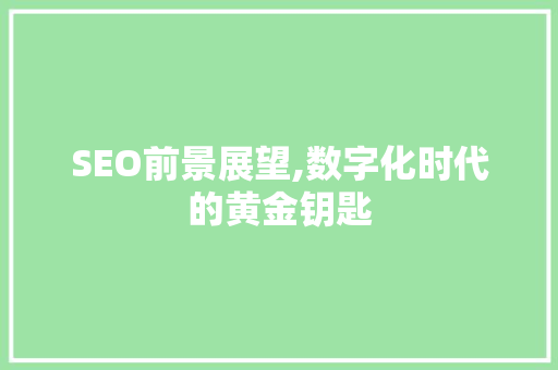 SEO前景展望,数字化时代的黄金钥匙