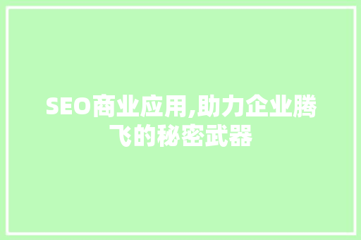 SEO商业应用,助力企业腾飞的秘密武器