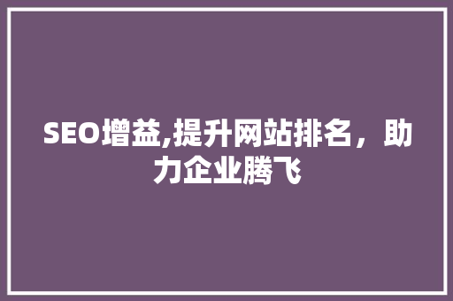 SEO增益,提升网站排名，助力企业腾飞 网站优化