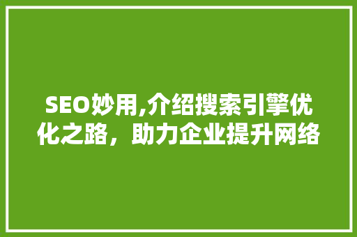 SEO妙用,介绍搜索引擎优化之路，助力企业提升网络影响力