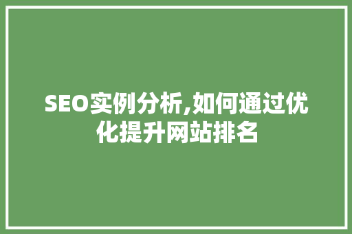SEO实例分析,如何通过优化提升网站排名