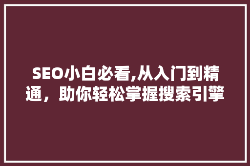 SEO小白必看,从入门到精通，助你轻松掌握搜索引擎优化