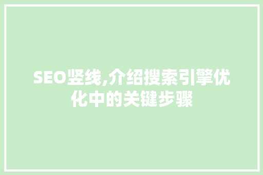 SEO竖线,介绍搜索引擎优化中的关键步骤