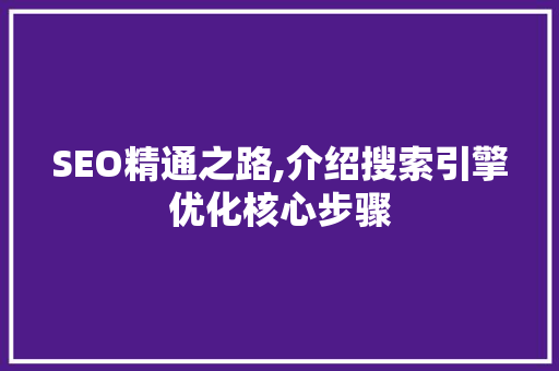 SEO精通之路,介绍搜索引擎优化核心步骤