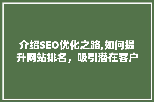 介绍SEO优化之路,如何提升网站排名，吸引潜在客户