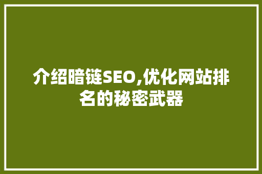 介绍暗链SEO,优化网站排名的秘密武器 英文谷歌算法
