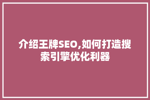 介绍王牌SEO,如何打造搜索引擎优化利器 网站开发