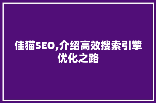 佳猫SEO,介绍高效搜索引擎优化之路 AI技术学习