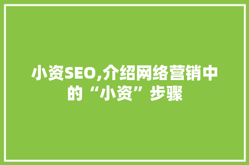 小资SEO,介绍网络营销中的“小资”步骤 AI技术学习