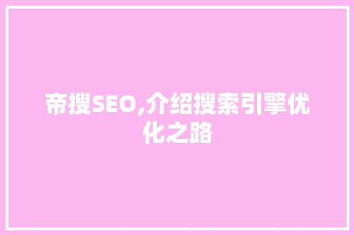 帝搜SEO,介绍搜索引擎优化之路
