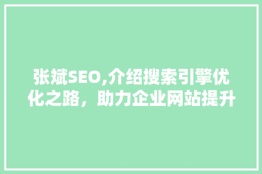 张斌SEO,介绍搜索引擎优化之路，助力企业网站提升排名 小程序开发