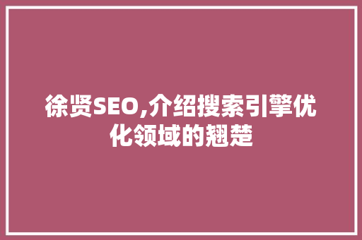 徐贤SEO,介绍搜索引擎优化领域的翘楚 seo技术