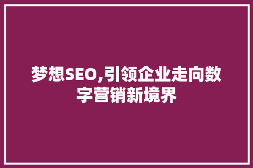 梦想SEO,引领企业走向数字营销新境界