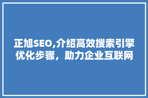 正旭SEO,介绍高效搜索引擎优化步骤，助力企业互联网营销