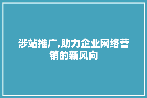 涉站推广,助力企业网络营销的新风向