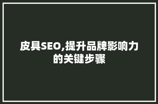 皮具SEO,提升品牌影响力的关键步骤