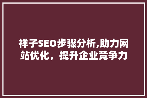 祥子SEO步骤分析,助力网站优化，提升企业竞争力 360搜优化
