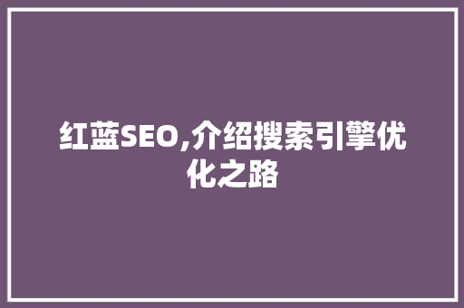 红蓝SEO,介绍搜索引擎优化之路 网站开发