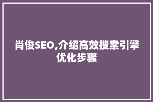 肖俊SEO,介绍高效搜索引擎优化步骤 小程序开发